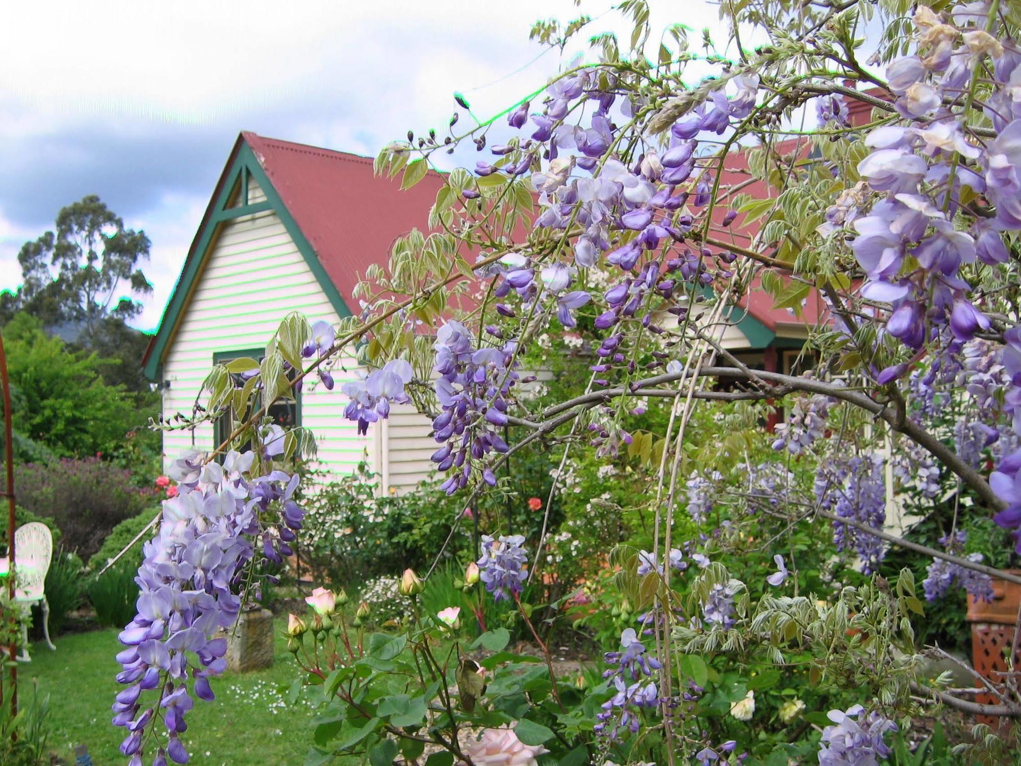 Crabtree House Panzió Grove Kültér fotó