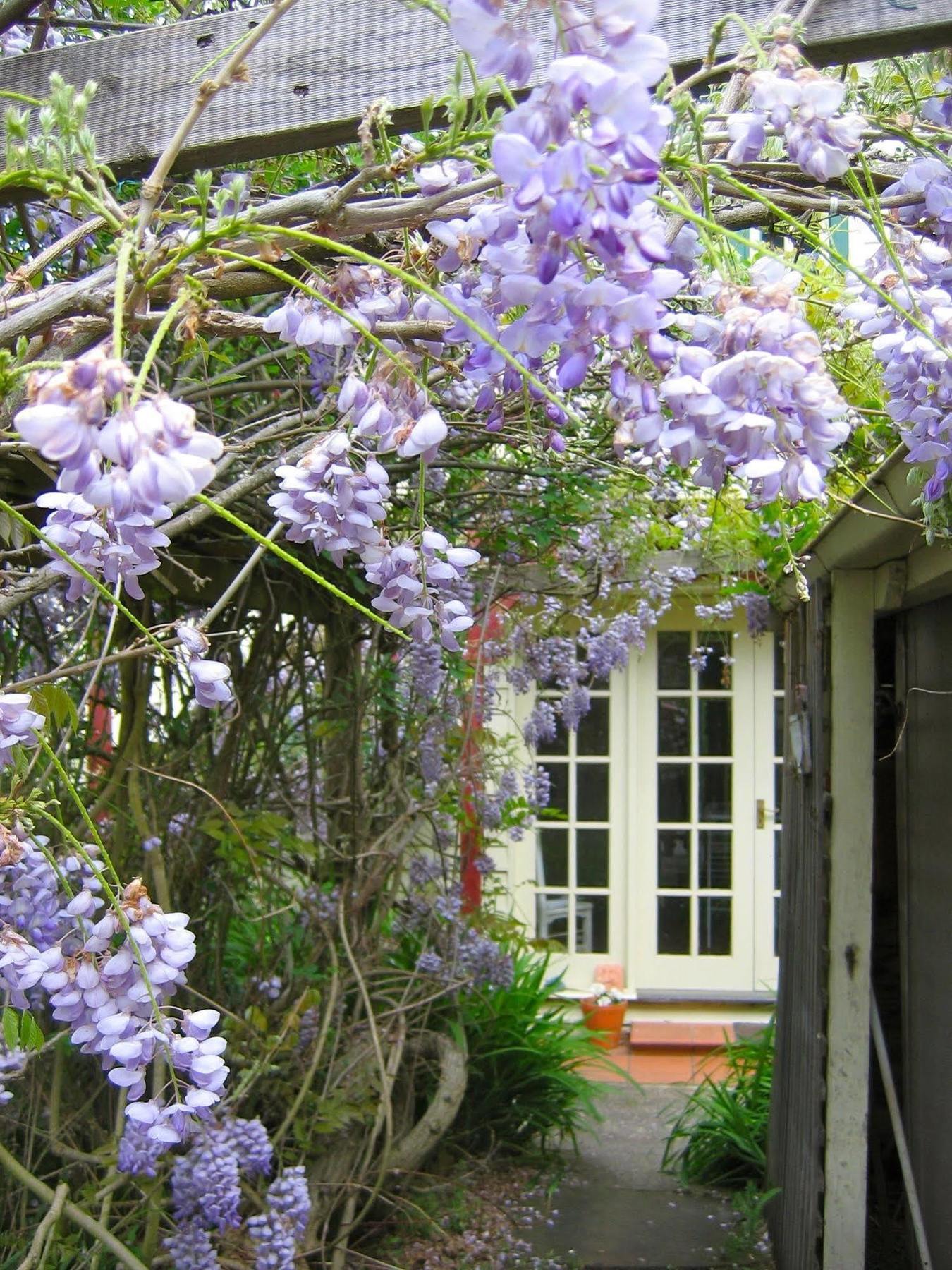 Crabtree House Panzió Grove Kültér fotó
