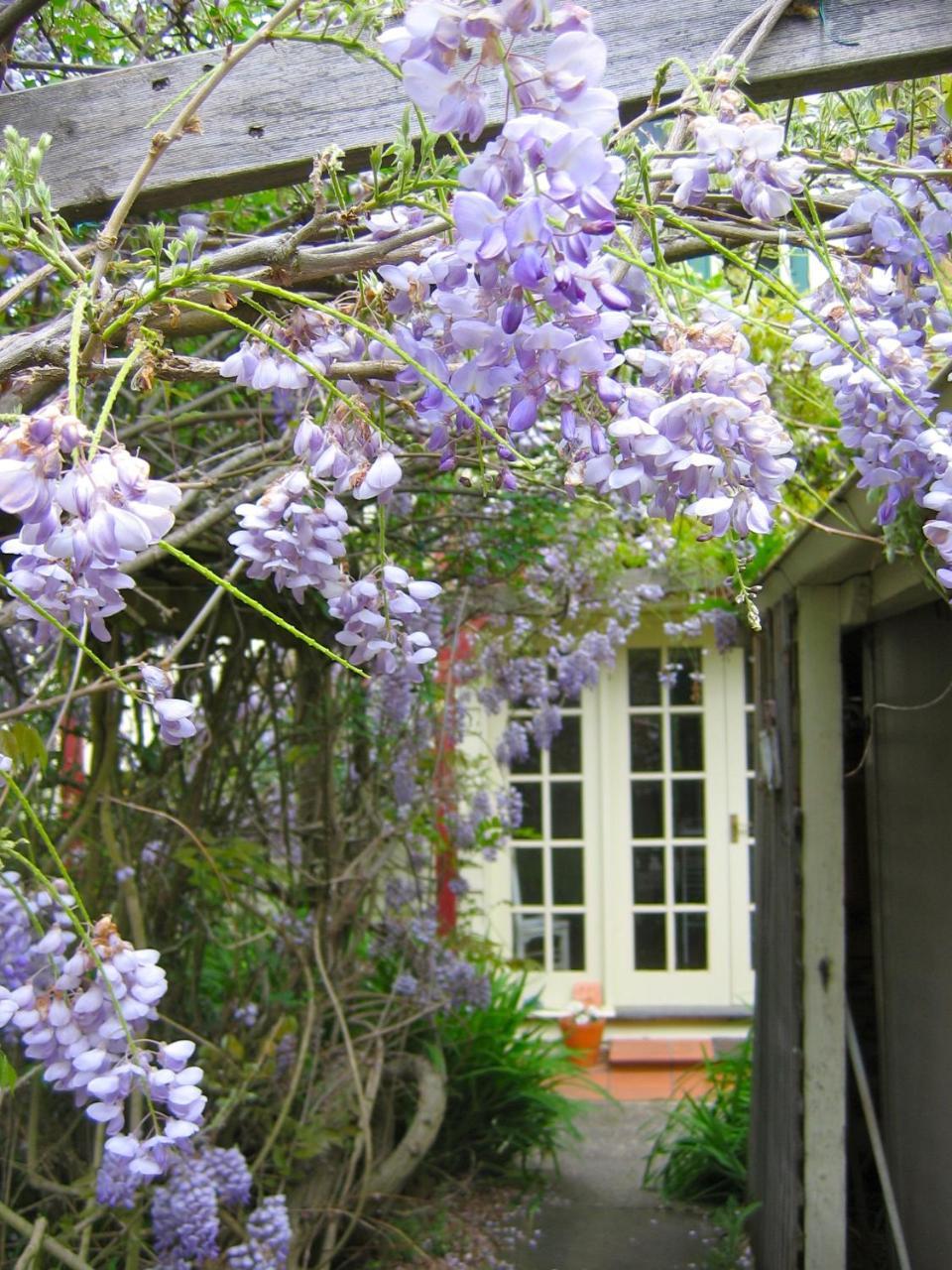 Crabtree House Panzió Grove Kültér fotó